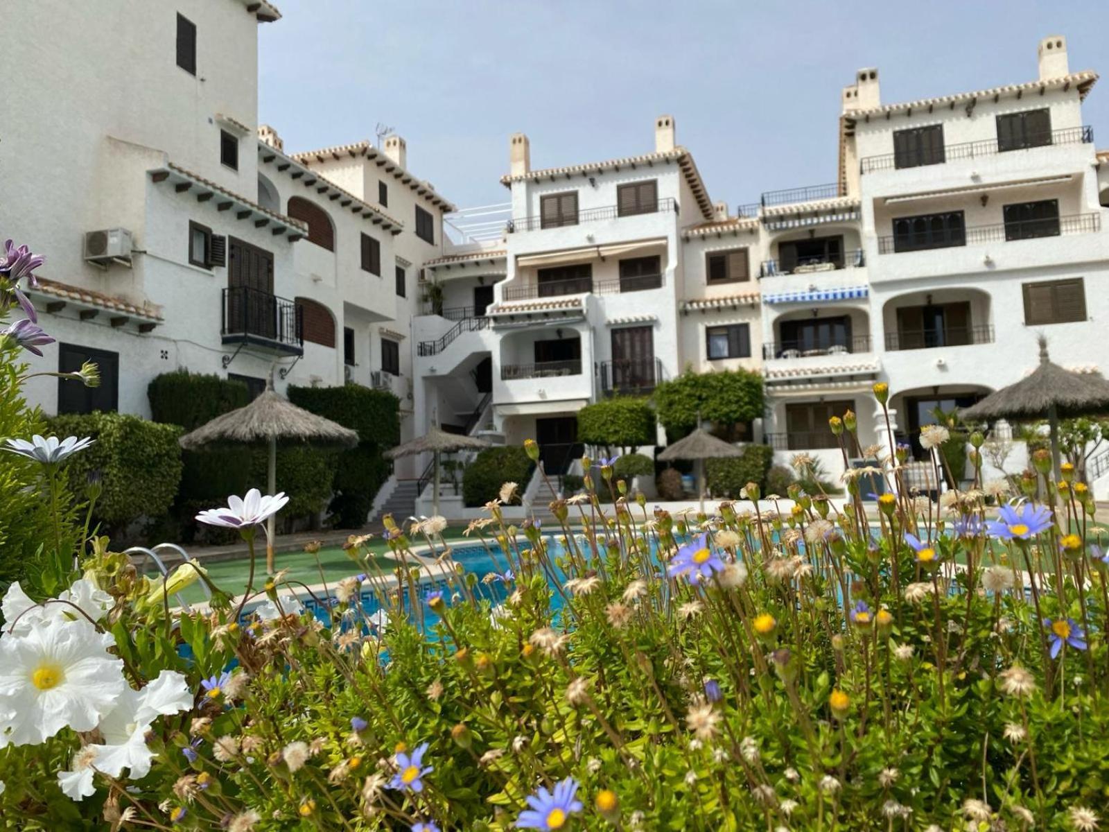 Lobo En Cabo Apartment, Cabo Roig , Orihuela Costa Exteriör bild