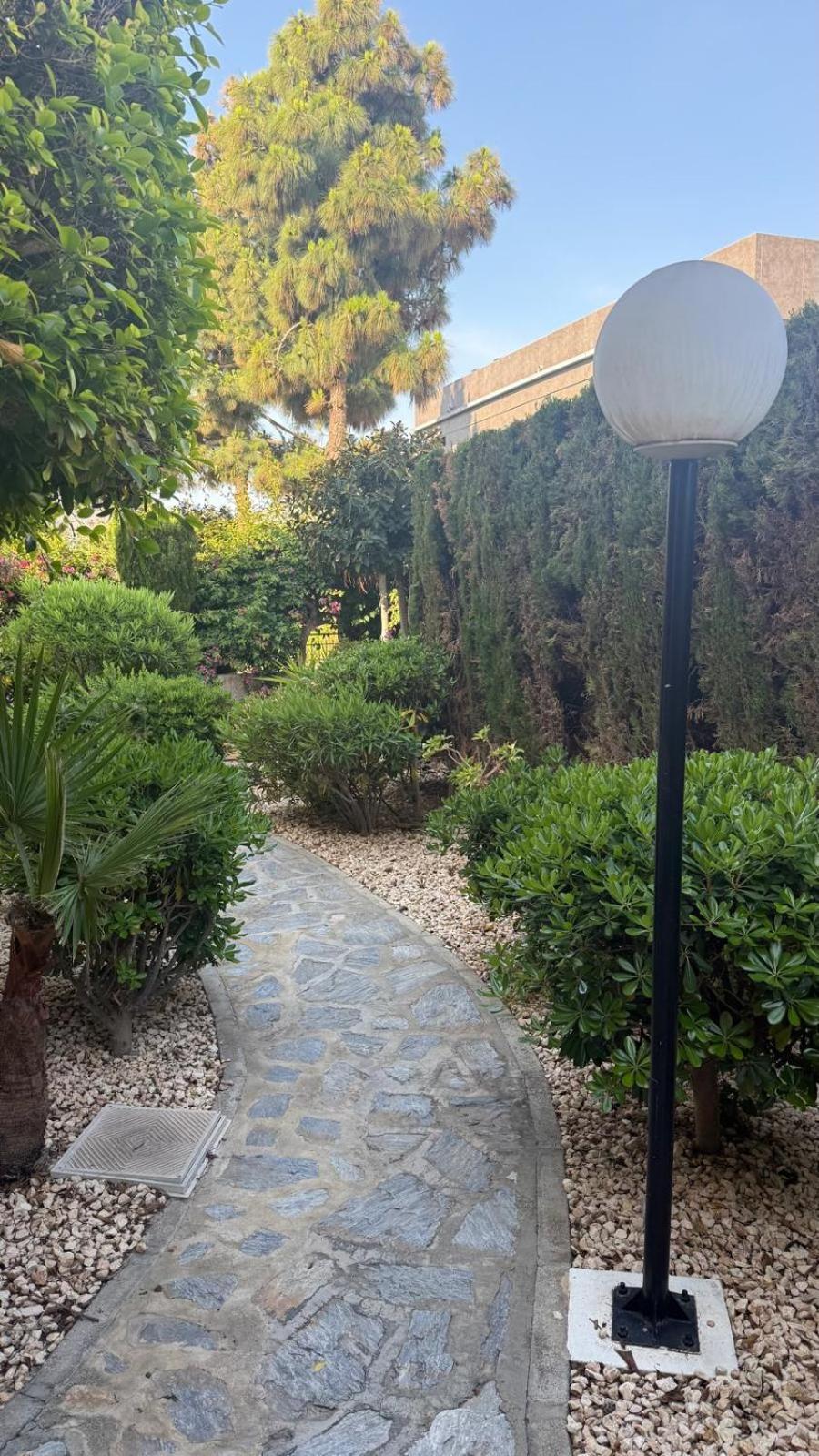 Lobo En Cabo Apartment, Cabo Roig , Orihuela Costa Exteriör bild